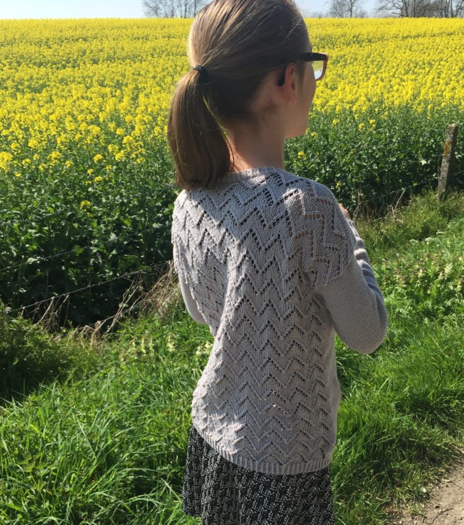 modèle gilet Stachys