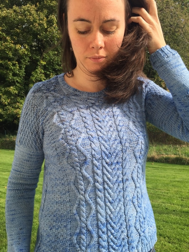 Paridae, pull au tricot