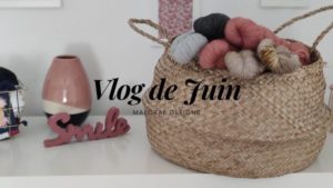 Vlog de juin
