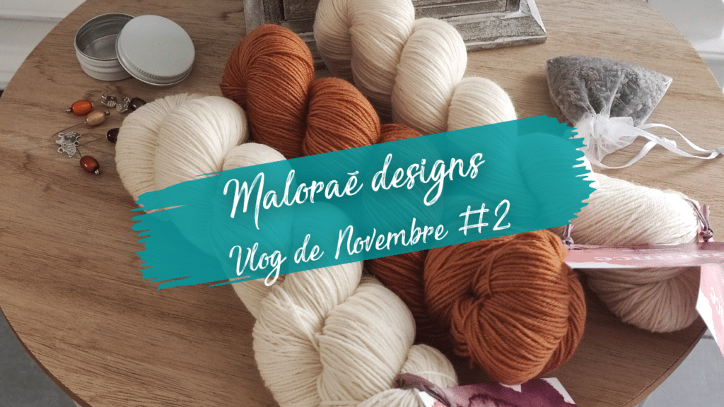 Vidéo tricot - Vlog Novembre #2 - Maloraé Designs
