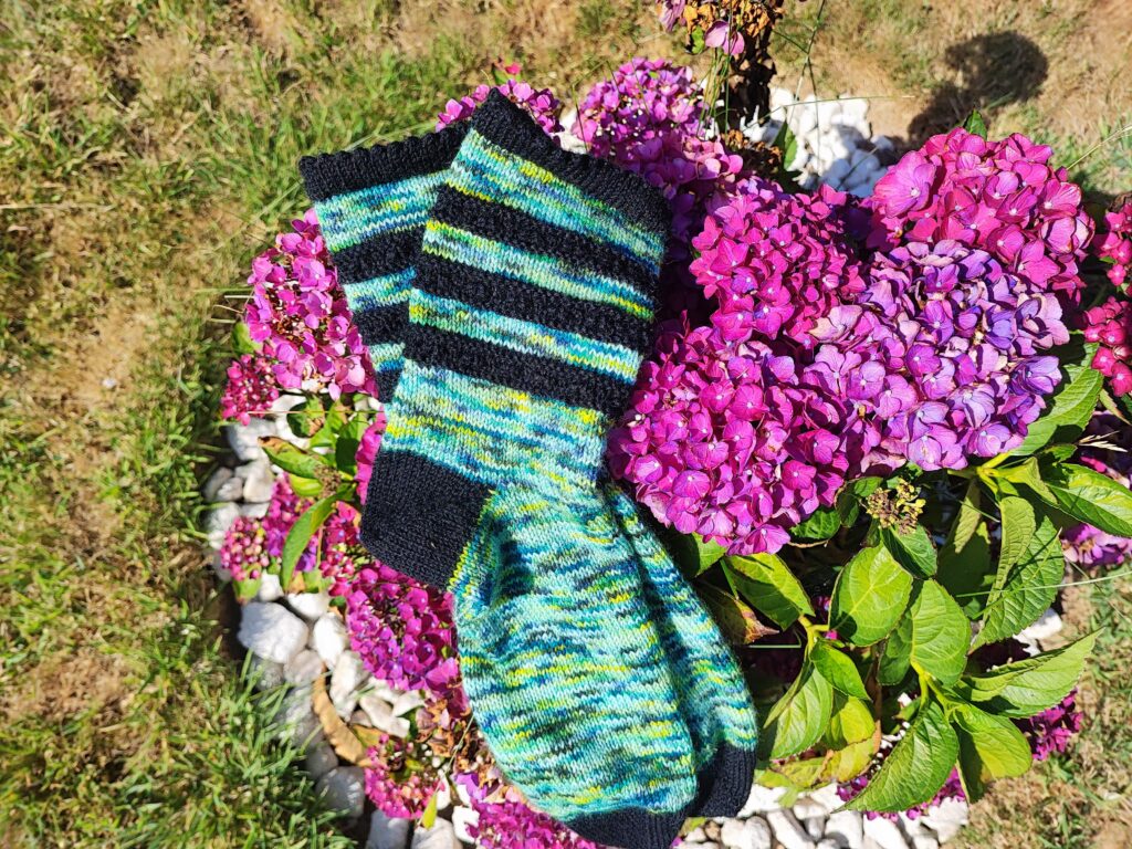 Chaussettes Camassia - Podcast épisode 38 - Chaussettes bicolore au tricot - Maloraé Designs