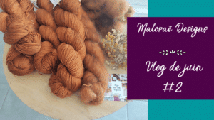 Vlog juin 2023 #2 – Tricot au ralenti et migraine... - Vidéo tricot - Les coulisses - Maloraé Designs