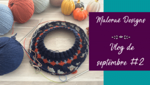 Vlog septembre 2023 #2 – Encore du tricot et de nouveau paniers à projets ! - Vidéo tricot - Les coulisses - Maloraé Designs