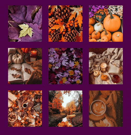 Mood board ebook automne 2024 - Maloraé Designs