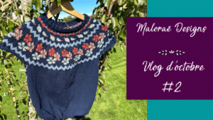 Vlog octobre 2023 #2 – Presque mono en-cours du tricot ! - Les coulisses - Vidéo tricot - Maloraé Designs