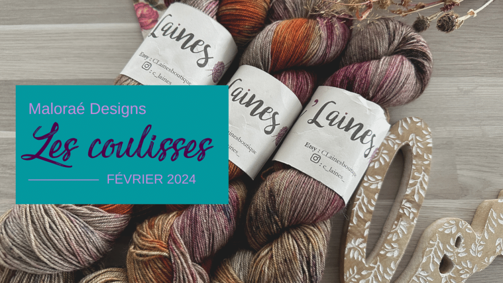 Vlog février 2024 #2 – Nouveaux tricots et couture de paniers ! - Les coulisses - Maloraé Designs