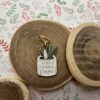 Anneaux marqueurs - Plante grasse - Accessoire tricot - Maloraé Designs