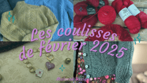 Vlog février 2025 – Tricots en-cours et couture de paniers à projets ! - Les coulisses - Vidéo tricot - Maloraé Designs