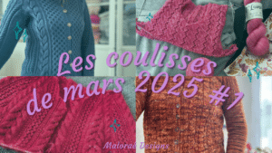Vlog mars 2025 #1 – Achat de laine, tricot et couture ! - Les coulisses - Vidéo tricot - Maloraé Designs