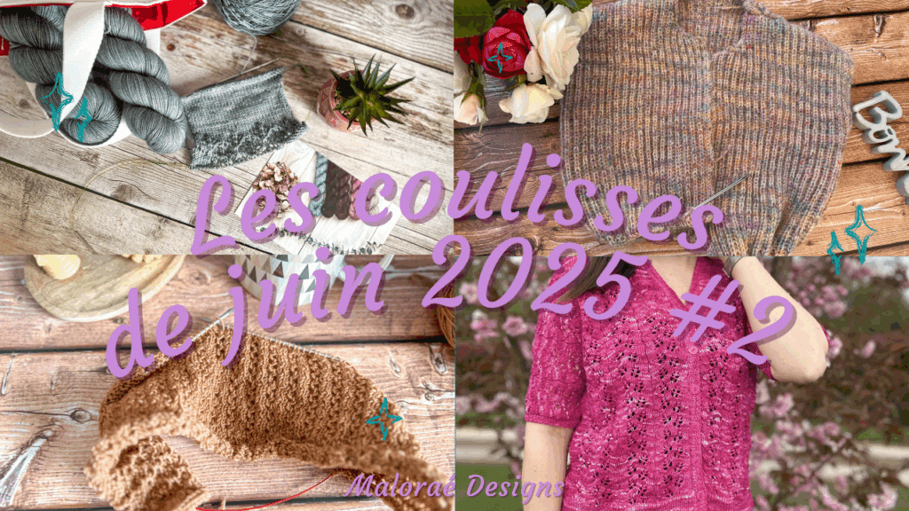 Vlog juin 2025 #2 – Un peu, beaucoup de tricot ! - Vidéo tricot - Les coulisses - Maloraé Designs