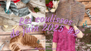 Vlog juin 2025 #2 – Un peu, beaucoup de tricot ! - Vidéo tricot - Les coulisses - Maloraé Designs