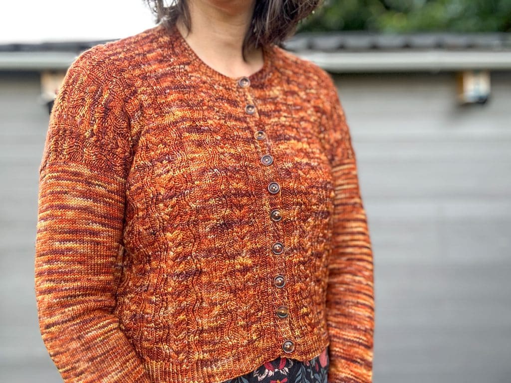 Massette - Patron de gilet à torsades pour femme au tricot - Septembre 2025 - Maloraé Designs