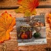 Lots Anneaux marqueurs tricot - Citrouilles - Accessoires tricot - Maloraé Designs