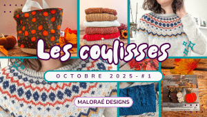 Vlog octobre 2025 •1 - Bientôt un salon tricot ! - Les coulisses - -Vidéo tricot - Maloraé Designs