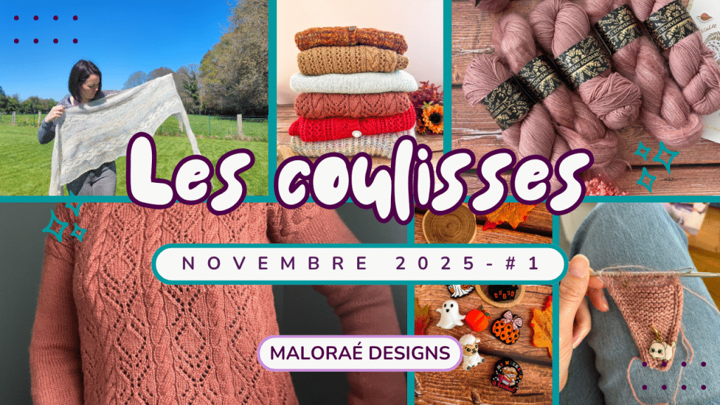 Vlog novembre 2025 •1 - Tricots en-cours et nouveau projet ! - Les coulisses - Maloraé Designs