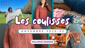 Vlog novembre 2025 •2 - Tricot et Couture au Programme ! - Vidéo tricot - Les coulisses - Maloraé Designs