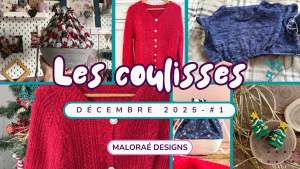 Vlog décembre 2025 •1 - Un nouveau tricot sur mes aiguilles ! - Vidéo tricot - Les coulisses - Maloraé Designs